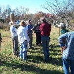 Workshop attendees preparing to prune a Burbank Plum