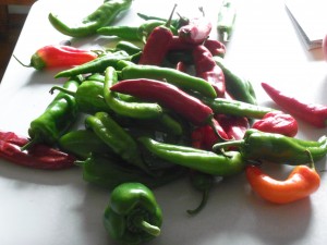 Final peppers of the season